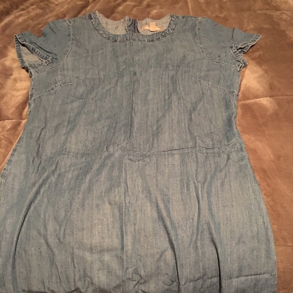 Banana Republic Denim Chambray Dress 12T